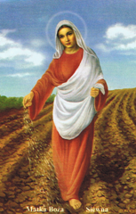 Matki Bożej Siewnej